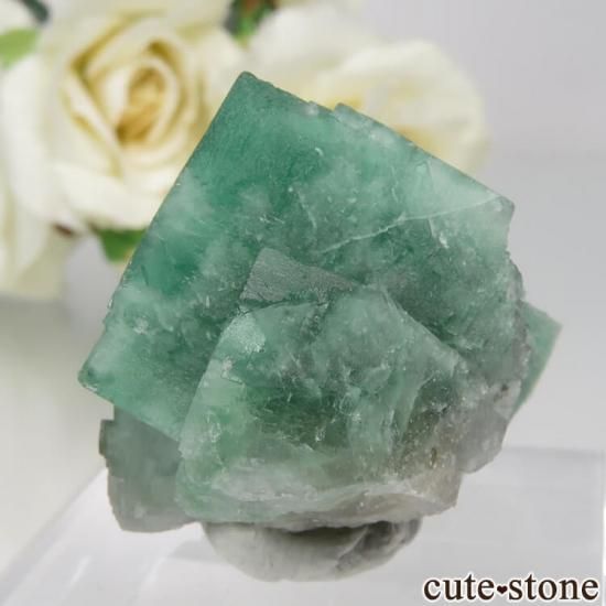ǥʥ٥ Minty Cheesecake Pocket ե饤Ȥη뾽ʸСNo.4μ̿1 cute stone