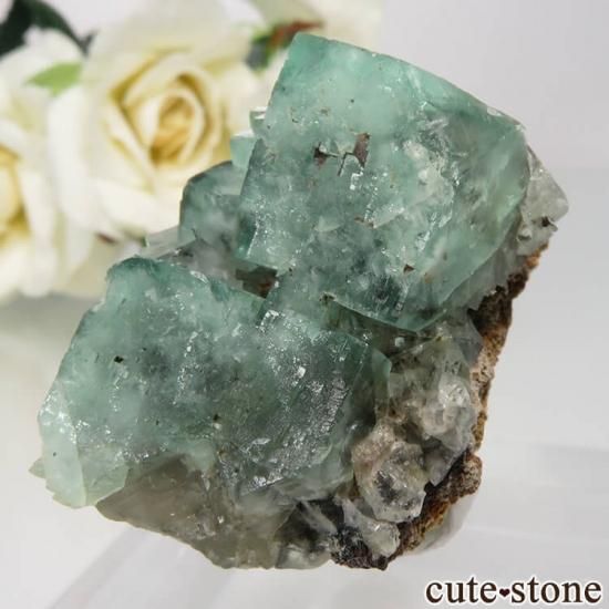 ǥʥ٥ Minty Cheesecake Pocket ե饤Ȥդ뾽ʸСNo.6μ̿1 cute stone