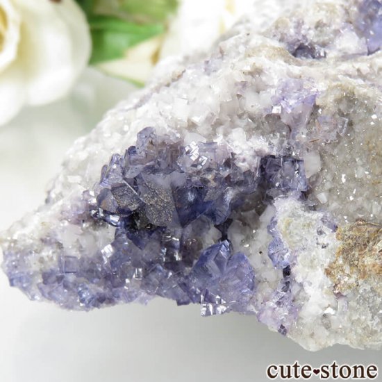 ꥫ ०åɹۻ ѡץ֥롼ե饤ȡե饤 No.38μ̿0 cute stone
