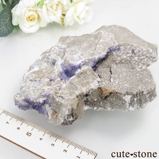 ꥫ ०åɹۻ ѡץ֥롼ե饤ȡե饤 No.38μ̿3 cute stone