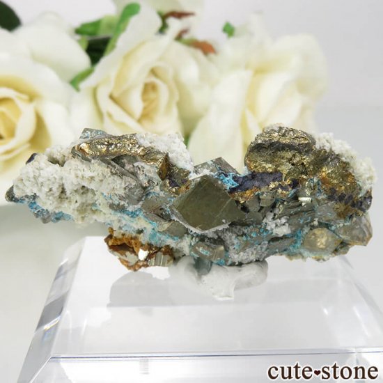 ֥륬ꥢ Septemvri Mine ѥ饤ȡ꥽θ No.1μ̿0 cute stone