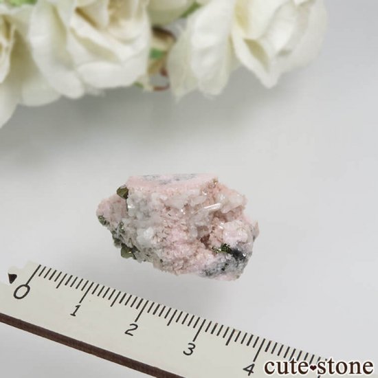 ֥륬ꥢ ɥȡƥХȡ륳ѥ饤Ȥθ No.1μ̿1 cute stone