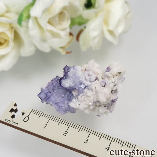 䥪󥷥 ֥롼ե饤 No.33μ̿3 cute stone
