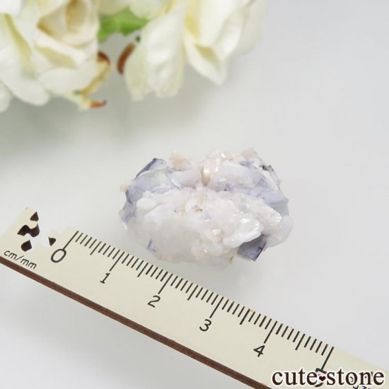 䥪󥷥 ֥롼ߥ꡼ե饤 No.34μ̿2 cute stone