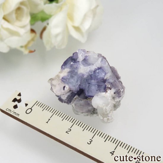 䥪󥷥 ֥롼ե饤 No.36μ̿2 cute stone