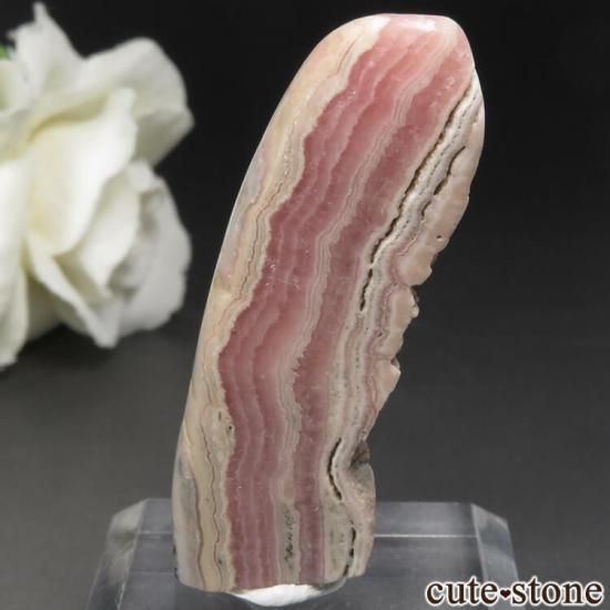 를󻺥ɥȡʥ󥫥ˤΥ饤() No.4μ̿1 cute stone