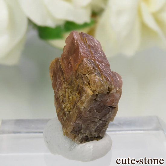 ɽ Moose Mine ɥ No.1μ̿0 cute stone