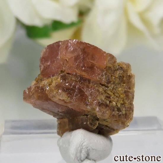 ɽ Moose Mine ɥ No.1μ̿1 cute stone