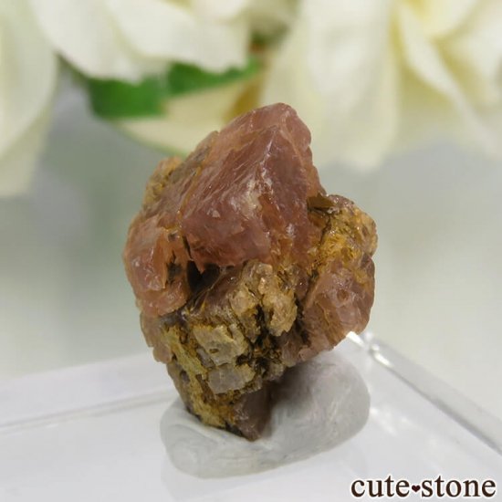ɽ Moose Mine ɥ No.1μ̿2 cute stone