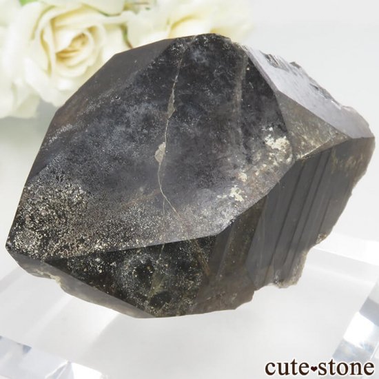 滋賀県 山中牧場跡産 カンゴーム - モリオン(黒水晶)の原石(国産) No.1の写真0 cute stone