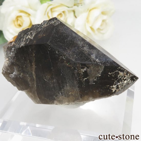 츩 Ҿ׻ 󥴡 - ꥪ(徽)θСʹ񻺡 No.1μ̿1 cute stone