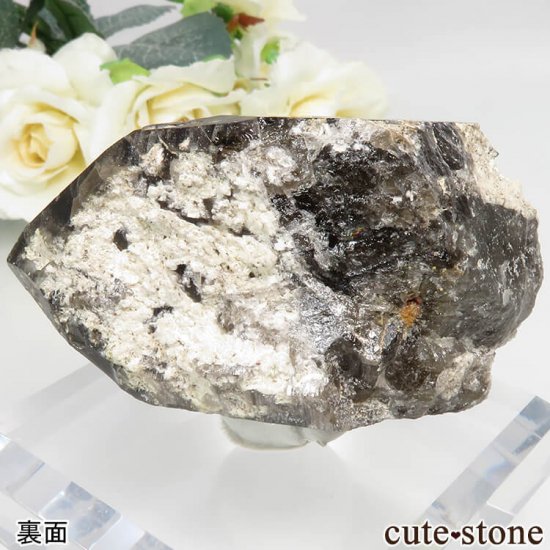 츩 Ҿ׻ 󥴡 - ꥪ(徽)θСʹ񻺡 No.1μ̿3 cute stone
