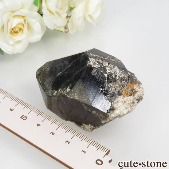 츩 Ҿ׻ 󥴡 - ꥪ(徽)θСʹ񻺡 No.1μ̿4 cute stone