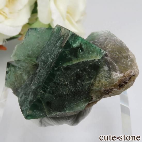 Diana Mariaۻ Truffle Pig Pocket ե饤Ȥθ No.1μ̿1 cute stone