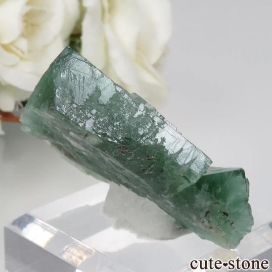 Diana Maria Smoky Rabbit Pocket フローライト Diana Maria Smoky