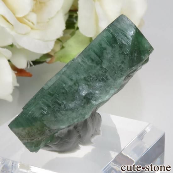 Diana Mariaۻ Truffle Pig Pocket ե饤Ȥθ No.4μ̿1 cute stone