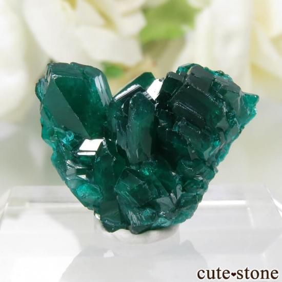 コンゴ Reneville産 ダイオプテーズの原石 No.5 - cute stone -
