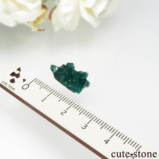  Reneville ץơθ No.7μ̿2 cute stone