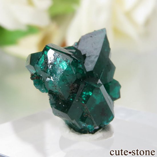  Reneville ץơθ No.8μ̿0 cute stone