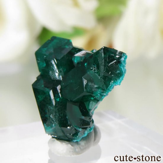  Reneville ץơθ No.8μ̿1 cute stone