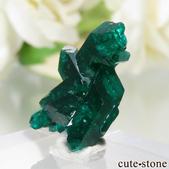  Reneville ץơθ No.10μ̿1 cute stone