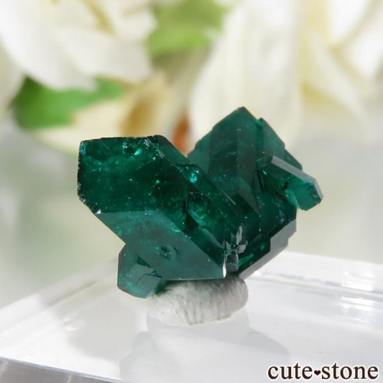  Reneville ץơθ No.11μ̿0 cute stone