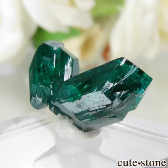  Reneville ץơθ No.11μ̿1 cute stone