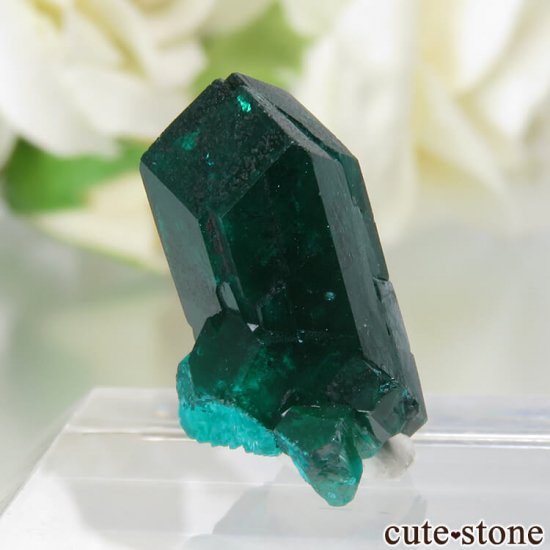  Reneville ץơθ No.13μ̿0 cute stone