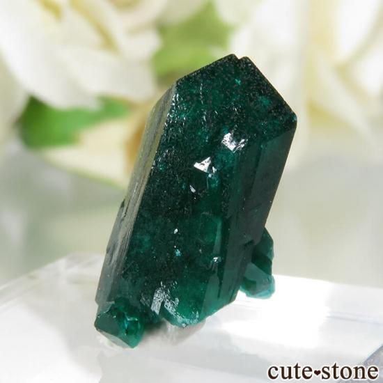  Reneville ץơθ No.13μ̿1 cute stone