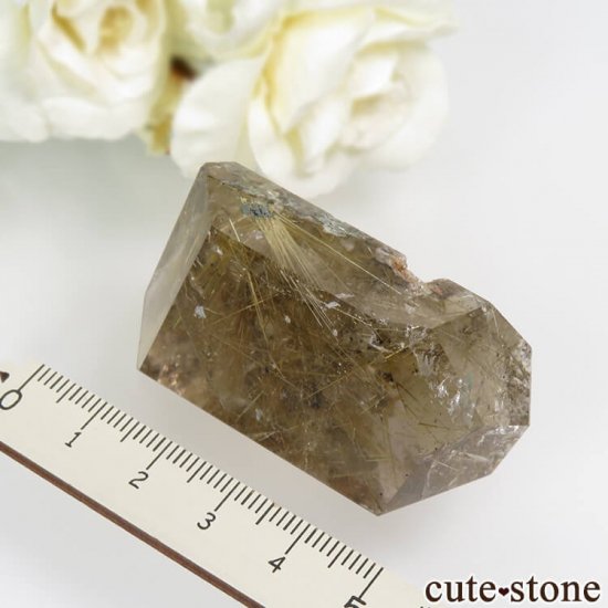 ֥饸 Х ۥʥ륤󥯥ġˤʪʸСݥåNo.5μ̿5 cute stone