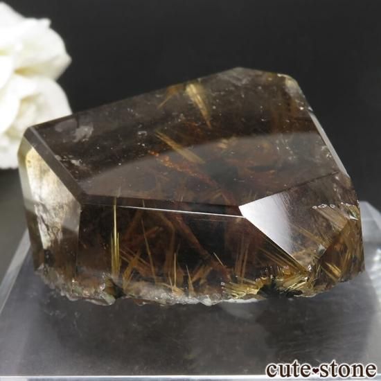 ֥饸 Х ۥʥ륤󥯥ġˤʪʸСݥåNo.8μ̿0 cute stone