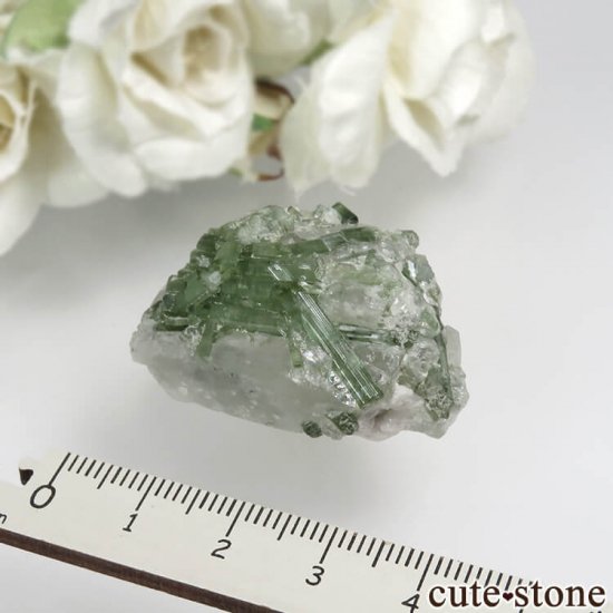 ѥ Chapo mine ꡼ȥޥĤθ No.1μ̿1 cute stone