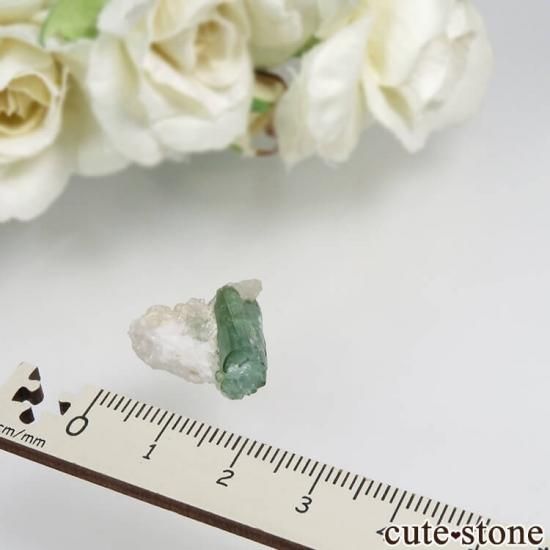 ѥ Chapo mine ꡼ȥޥθ No.5μ̿1 cute stone
