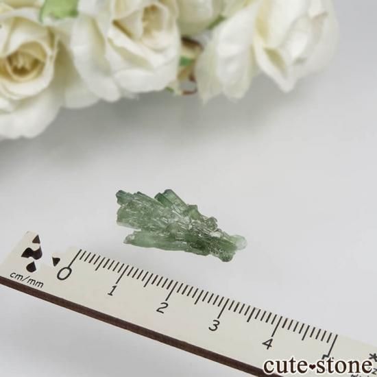 ѥ Chapo mine ꡼ȥޥθ No.6μ̿1 cute stone