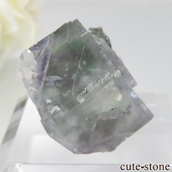 ɥ Dorfel Quarry 饤ȥ֥롼ߥ꡼ե饤ȡ No.40μ̿0 cute stone