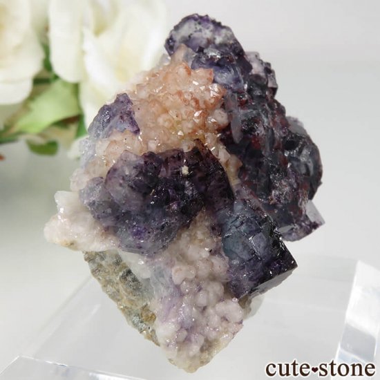 ɥ Dorfel Quarry ѡץߥ֥롼꡼ե饤ȡ No.41μ̿0 cute stone