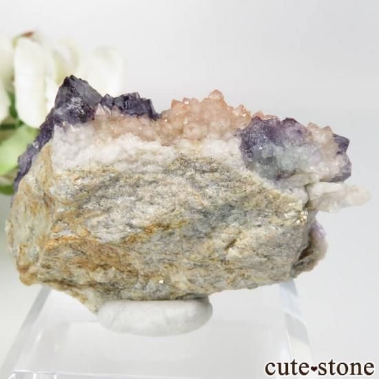 ɥ Dorfel Quarry ѡץߥ֥롼꡼ե饤ȡ No.41μ̿1 cute stone