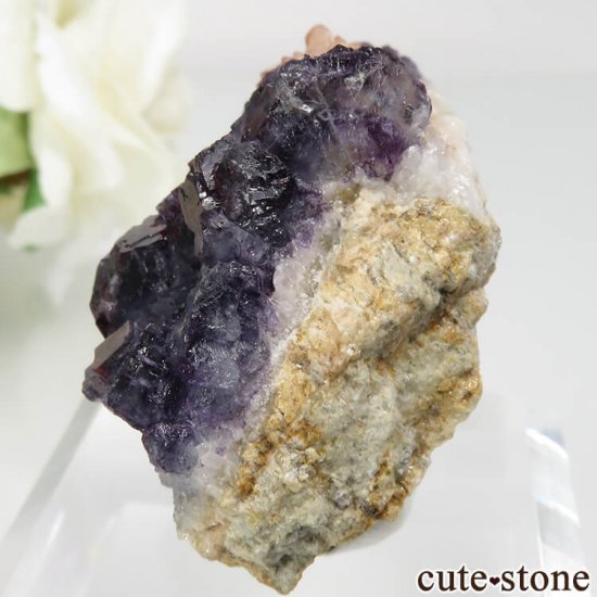 ɥ Dorfel Quarry ѡץߥ֥롼꡼ե饤ȡ No.41μ̿2 cute stone