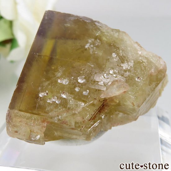 ɥ Dorfel Quarry ե饤ȡ No.42μ̿2 cute stone