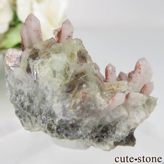 ɥ Dorfel Quarry ꡼ե饤ȡ No.43μ̿0 cute stone