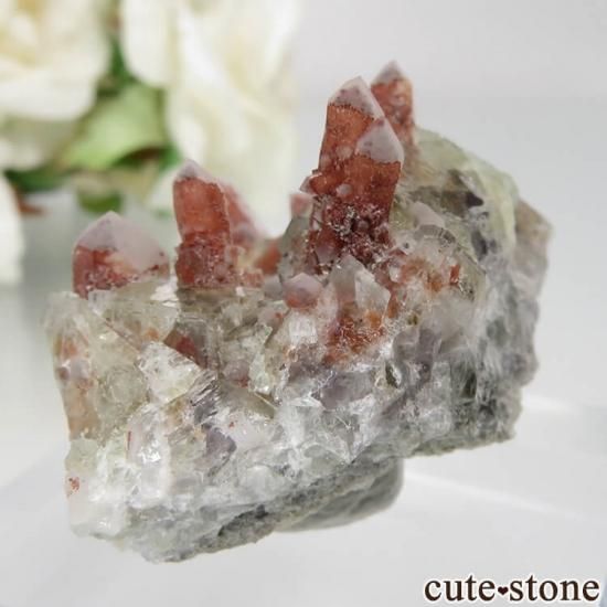 ドイツ Dorfel Quarry産 グリーンフローライト&クォーツ No.43の写真1 cute stone