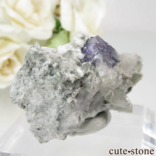 ɥ Dorfel Quarry ֥롼ե饤ȡ No.44μ̿0 cute stone