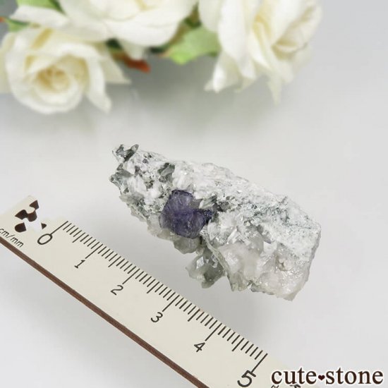 ɥ Dorfel Quarry ֥롼ե饤ȡ No.44μ̿3 cute stone