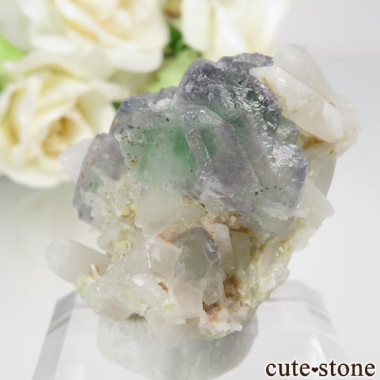 ɥ Dorfel Quarry ꡼ե饤ȡ No.45μ̿1 cute stone