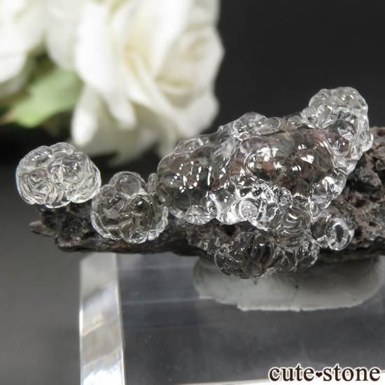 ϥ󥬥꡼ Kopasz Hill andesite quarry ϥ饤(ѡ)դ No.23μ̿1 cute stone