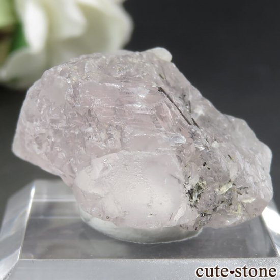 ѥ Chumar Bakhoor ԥ󥯥ե饤Ȥθ No.50μ̿0 cute stone