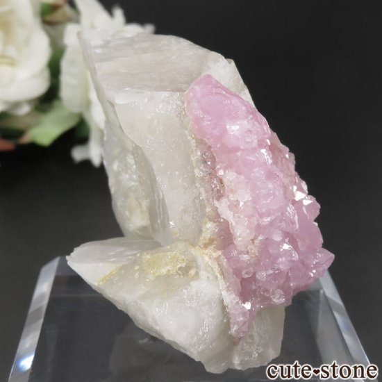 ֥饸 ߥʥ饤 Taquaral Ĥη뾽 No.2μ̿0 cute stone