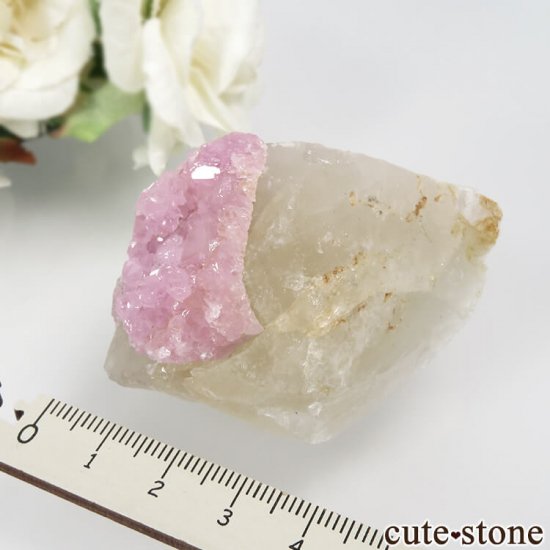 ֥饸 ߥʥ饤 Taquaral Ĥη뾽 No.2μ̿4 cute stone