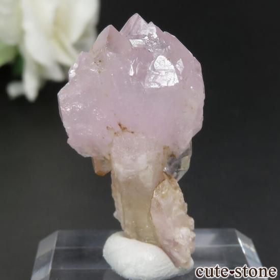 ֥饸 ߥʥ饤 Taquaral Ĥη뾽 No.3μ̿1 cute stone