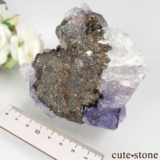 ꥫ ०åɹۻ ѡץ֥롼ե饤ȡե饤 No.39μ̿3 cute stone
